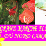 GRAND MARCHE FLORAL