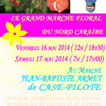 GRAND MARCHE FLORAL