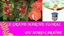 grd-marche-floral-du-nord-caraïbe-e1395163297399