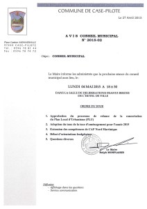 Conseil municipal 4 mai