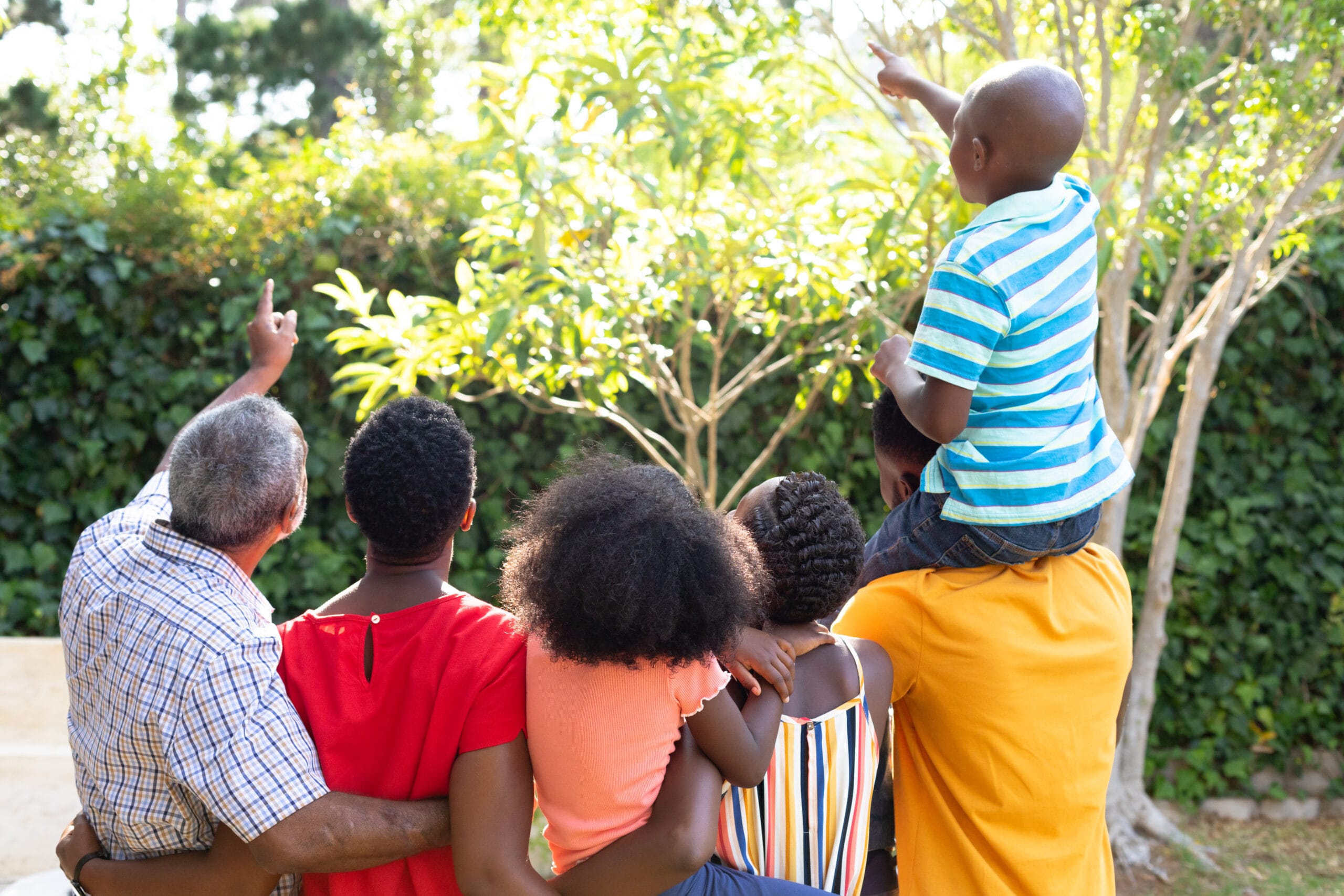 Famille de dos regardant la nature